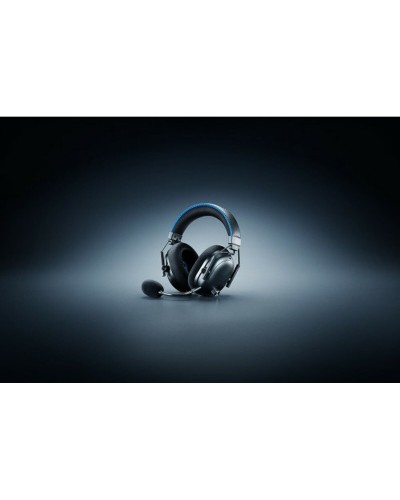 Auricolari Razer RZ04-05400500-R3G1 Nero
