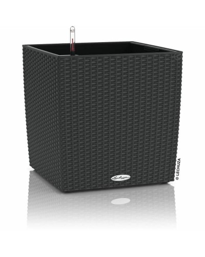 Bloempot Lechuza 50 x 50 x 50 cm Plastic