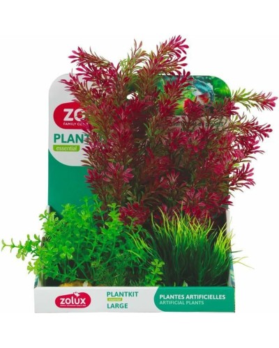 Plante décorative Zolux