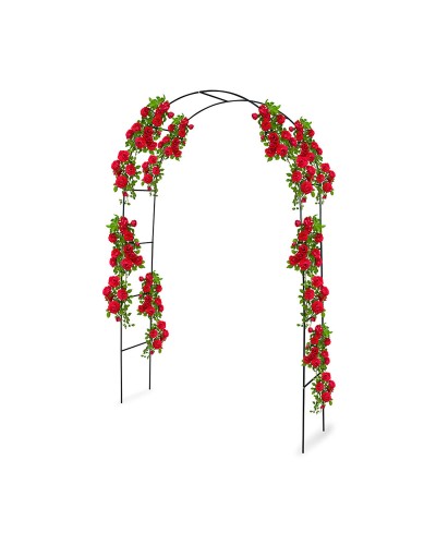 Arche de jardin Kinzo 240 x 140 cm Métal Roses