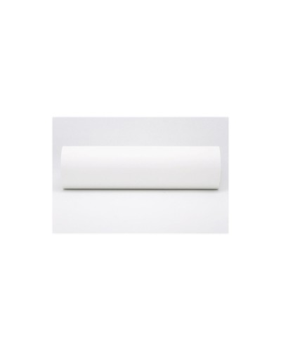 Painopaperi Brother LDP4F000210060I