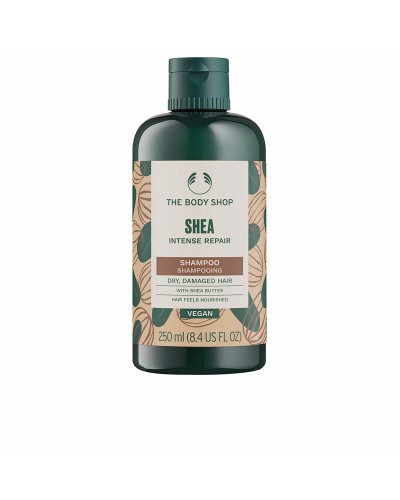 Shampooing The Body Shop SHEA