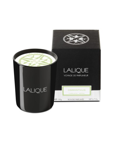 Candela Profumata Lalique