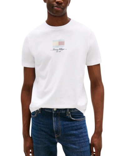 Tommy Hilfiger Men T-Shirt