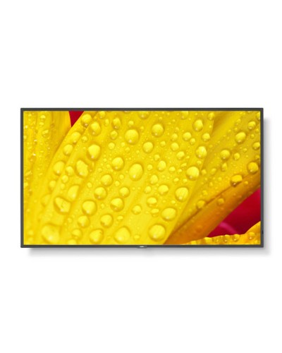 Écran NEC 60006084 50" 4K Ultra HD