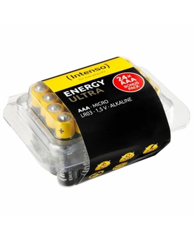 Batterijen INTENSO 7501814