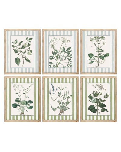 Maalaus Home ESPRIT Valkoinen Vihreä Shabby Chic Kasvitieteelliset kasvit 30 x 2,5 x 40 cm (6 osaa)