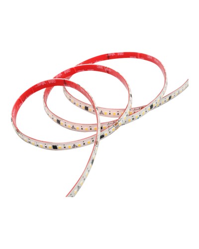 Strisce LED Fbright Bianco Luce fredda