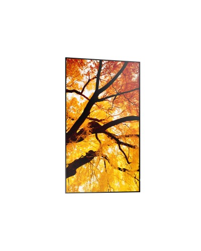 Videoseinä Monitori Sharp 60006052 Full HD 32"