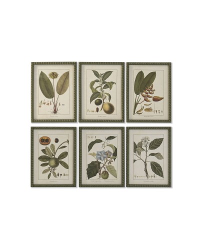 Cuadro Home ESPRIT Verde Cottage Plantas botánicas 30 x 2,5 x 40 cm (6 Unidades)