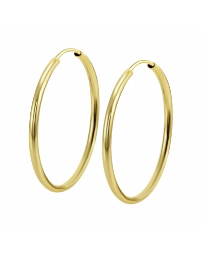 Oorbellen Dames Lotus LG00116/25 Gouden