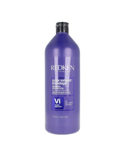 Shampooing Redken (1000 ml)