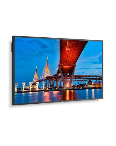 Écran NEC 60006086 4K Ultra HD 65"