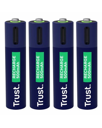 Batterie Trust 25671 AAA