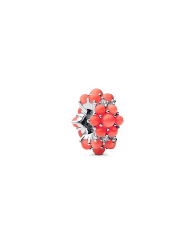 Perle de verre Femme Pandora 793897C01 Argenté