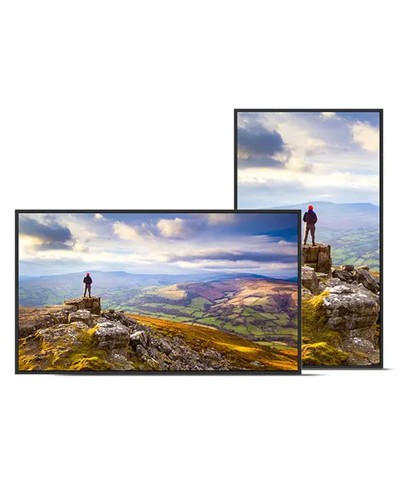 Moniteur Videowall Sharp 60006181 4K Ultra HD 43"