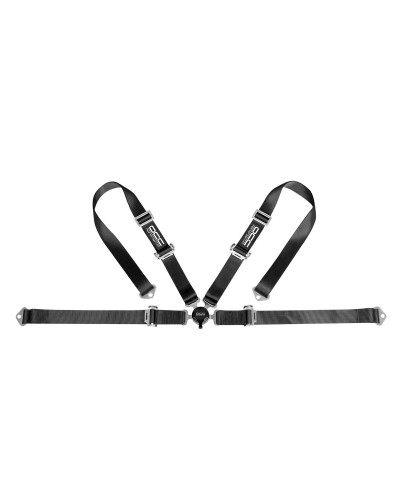 4-Punkt-Gurt OCC Motorsport OCCRC019