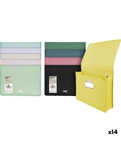 Kansio Grafoplas MAXI A4+ (14 osaa)