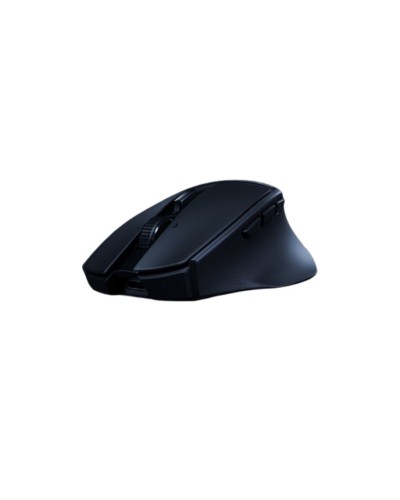 Muis Razer RZ01-04310100-R3G1 Zwart 18000 dpi
