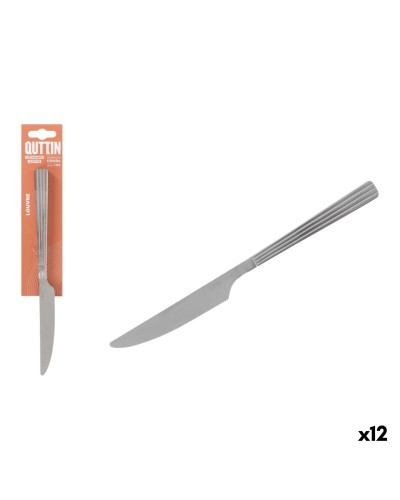 Knife Set Quttin LOUVRE Silver 4,5 mm 23,7 x 2 cm 2 Pieces (12 Units)
