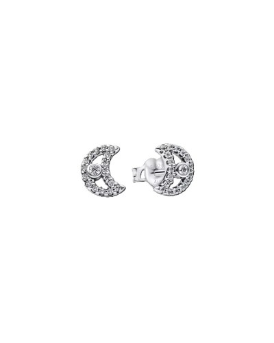 Ladies' Earrings Pandora 294257C01 Silver