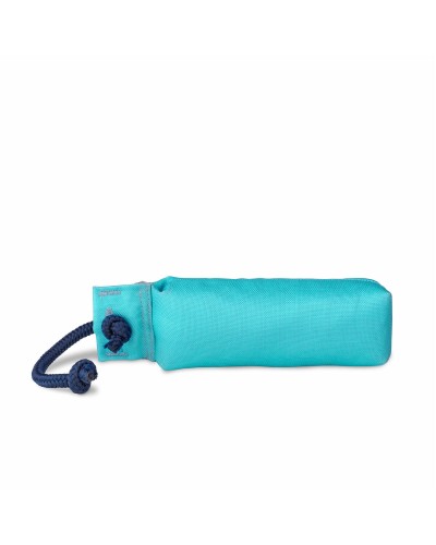 Coachi TRAINING DUMMY: Trainingsdummy für Hunde für Anfänger in Hundeberufen (Hellblau)
