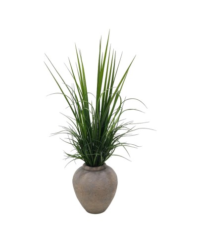 Koristekasvi Home ESPRIT Polyetyleeni