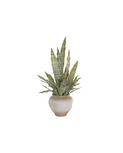 Decoratieve plant Home ESPRIT Polyethyleen