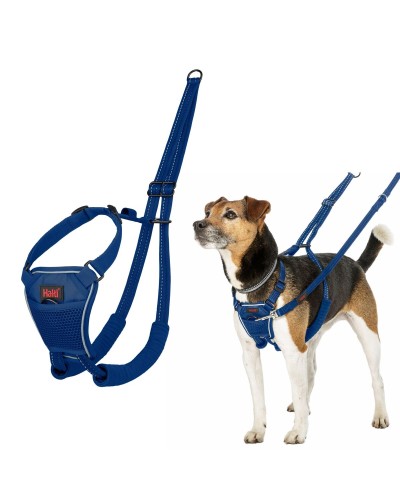 Harnais pour Chien Company of Animals Blue 20