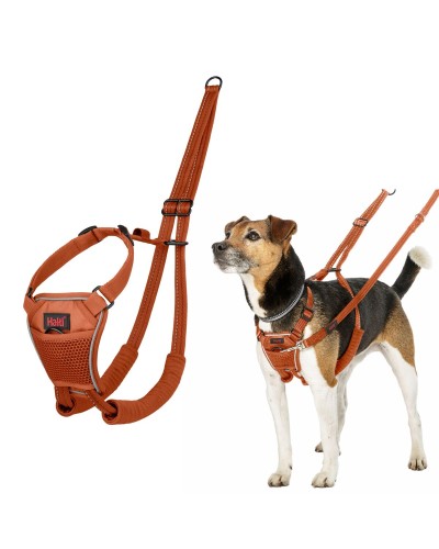 Hundsele Company of Animals Orange 20