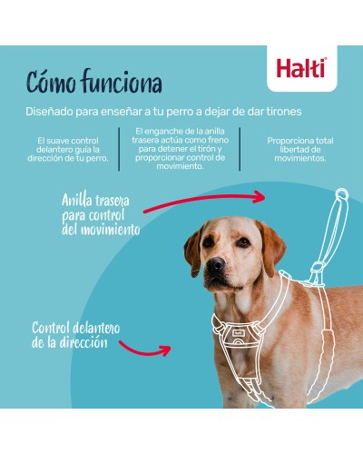 Arnés para Perro Company of Animals 20