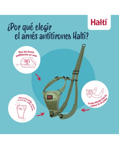 Harnais pour Chien Company of Animals L