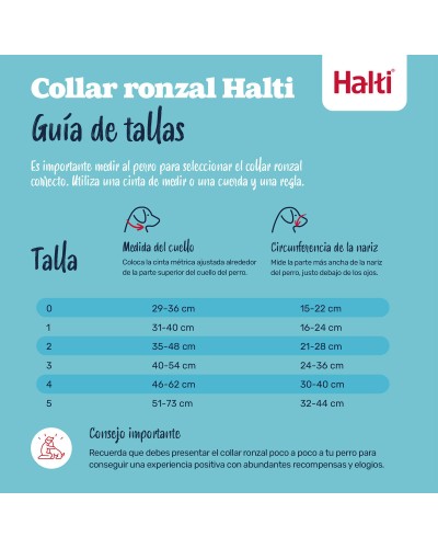 Harnais pour Chien Company of Animals Blue Taille 1