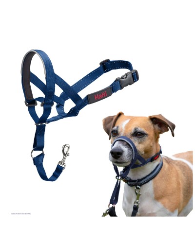 Kuonokoppa Company of Animals COBALT Sininen 3