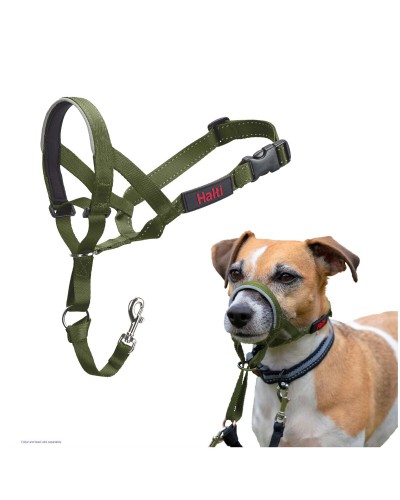 Muzzle Company of Animals FOREST Green Size 1