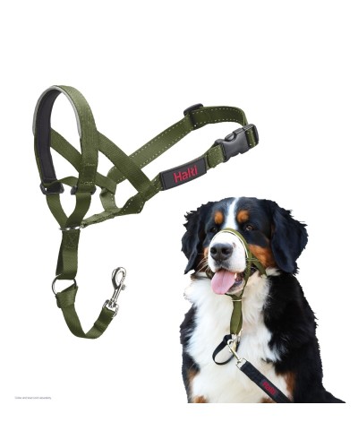 Munkorg Company of Animals FOREST Grön 4