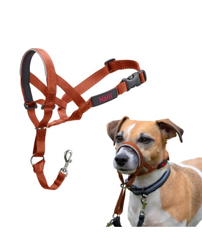 Munkorg Company of Animals BURNT Orange Storlek 1