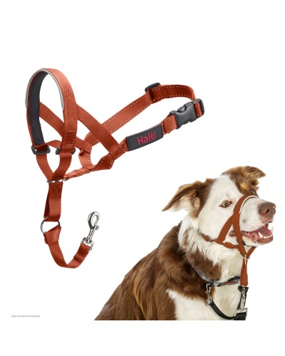 Maulkorb Company of Animals BURNT Orange 2