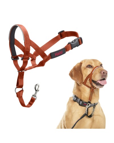 Munkorg Company of Animals BURNT Orange 3