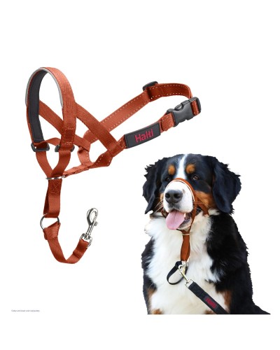 Muselière Company of Animals BURNT Orange 4