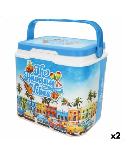 Koelbox Aktive Plastic 37 x 35 x 27 cm (2 Stuks)