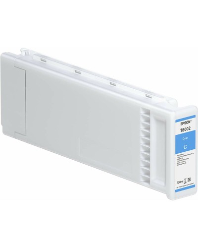 Original Bläckpatron Epson C13T800200 Turkos