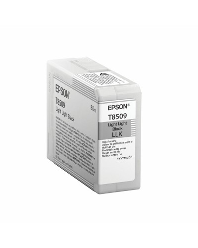 Original Bläckpatron Epson C13T850900 Svart