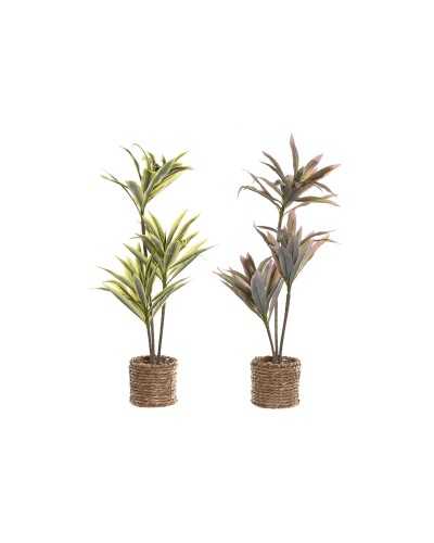 Pianta Decorativa Home ESPRIT Polietilene Fibra 30 x 30 x 75 cm (2 Unità)