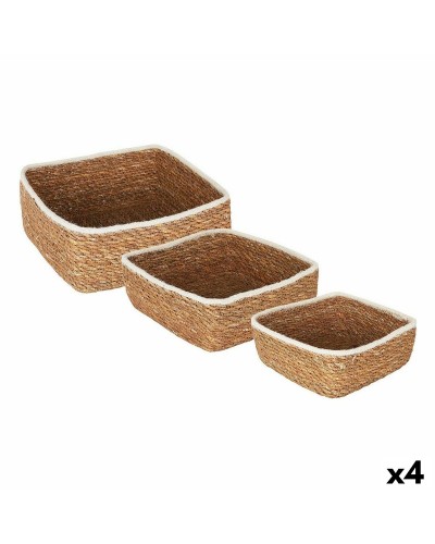 Cestini in Vimini Privilege - Set da 4 con Misure da 17 cm (3 Pezzi)
