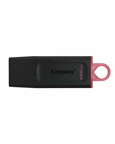 Memoria USB Kingston DTX Negro 256 GB