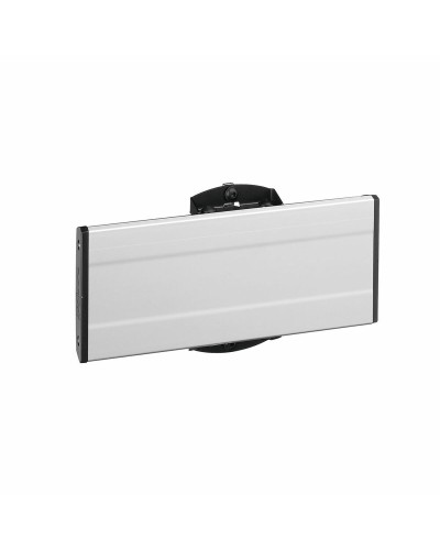 Stang Vogel's 7234024 80 kg (29 cm)