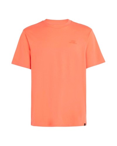Herren Kurzarm-T-Shirt O'Neill Small Logo Orange