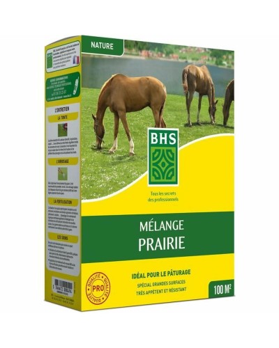 Siemenet BHS Mélange 500 g