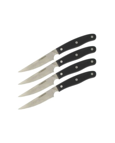 Set di Coltelli Nirosta Acciaio inossidabile 4 Pezzi